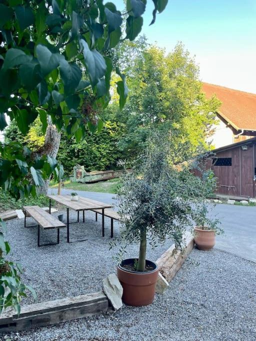 Zauberhafte Ferienscheune Im Hofgut Alte Oelmuehle エンゲン エクステリア 写真