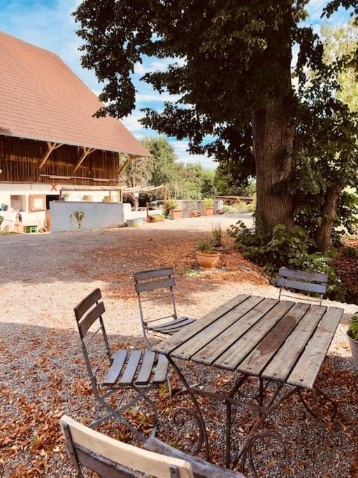 Zauberhafte Ferienscheune Im Hofgut Alte Oelmuehle エンゲン エクステリア 写真